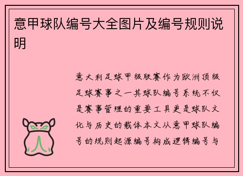 意甲球队编号大全图片及编号规则说明