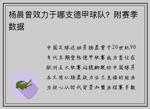 杨晨曾效力于哪支德甲球队？附赛季数据