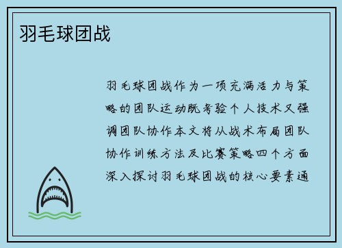 羽毛球团战